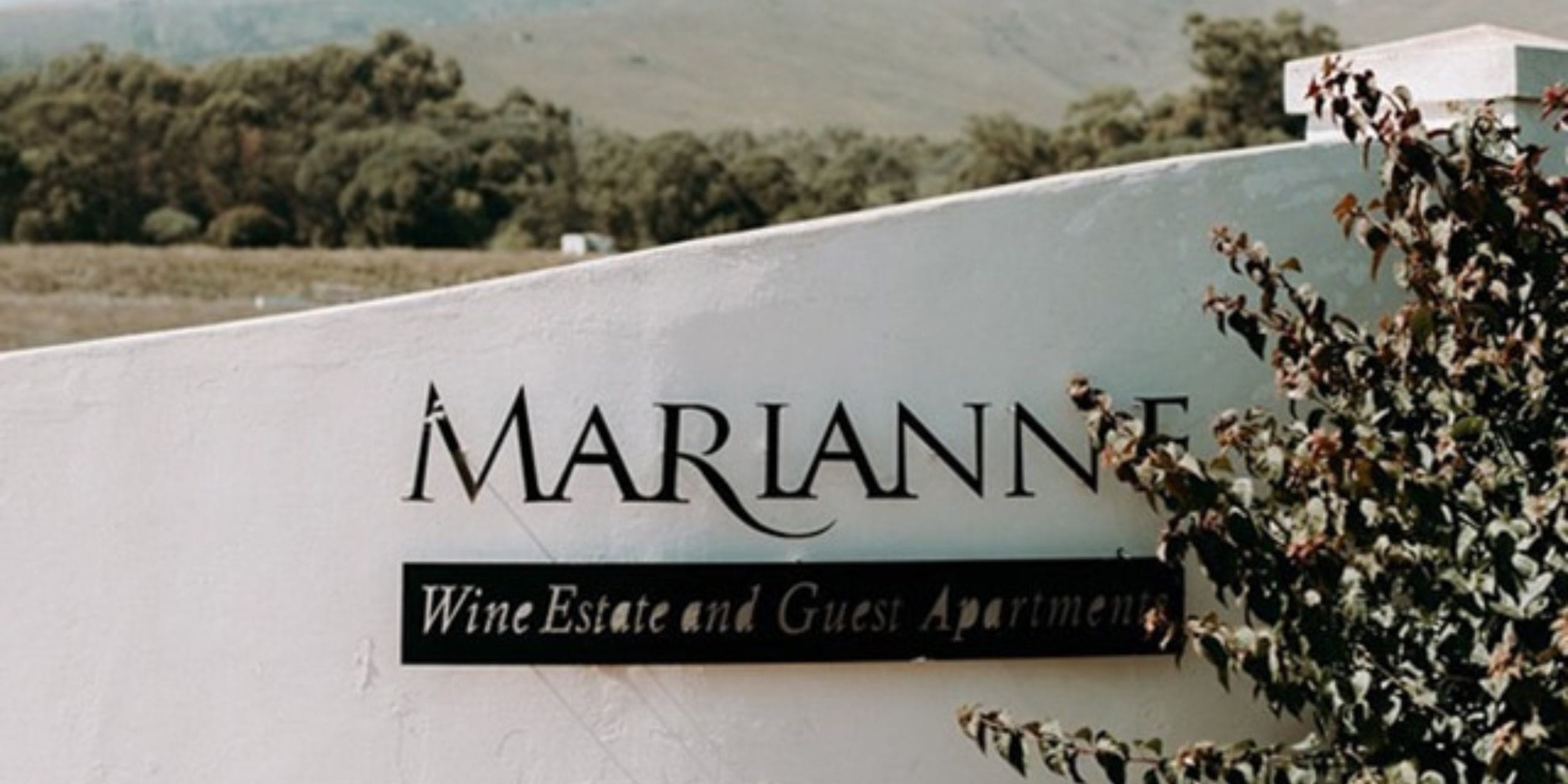 Marianne Wine Estate