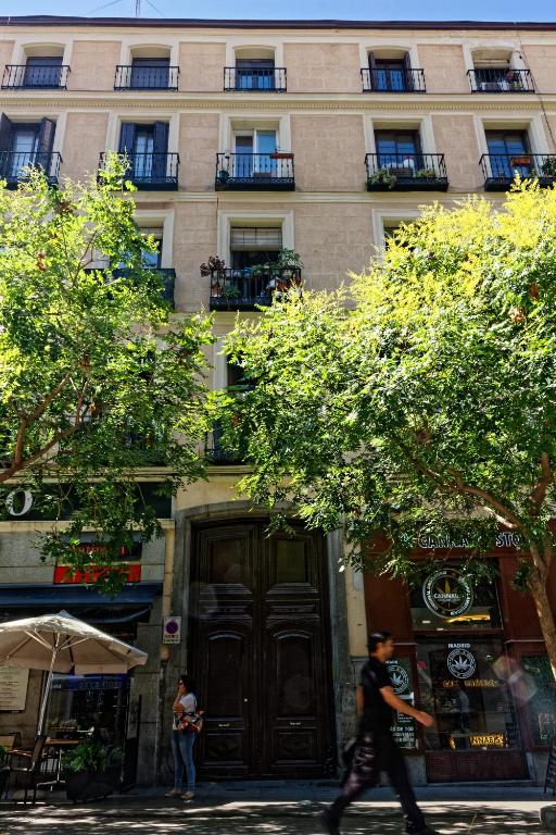 Arenal Suites Preciados